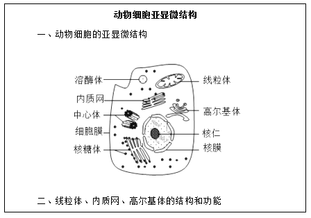 2018上半年高中生物教師資格證面試真題(第二批)板書設計1