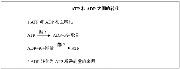 2018上半年高中生物教師資格證面試真題(第一批)板書設計1